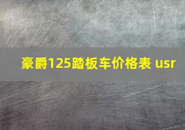 豪爵125踏板车价格表 usr